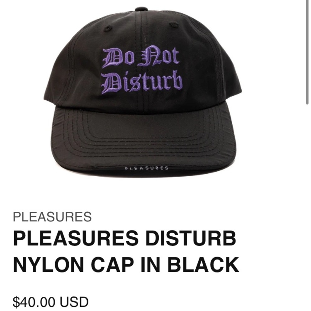 Pleasures Do not disturb hat perfect condition
